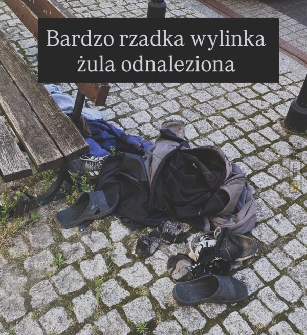 Śmieszny mem: 0891116 - MemLand