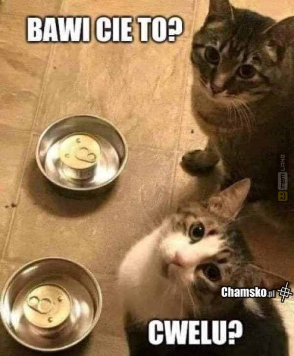 Śmieszny mem: 0895768 - MemLand