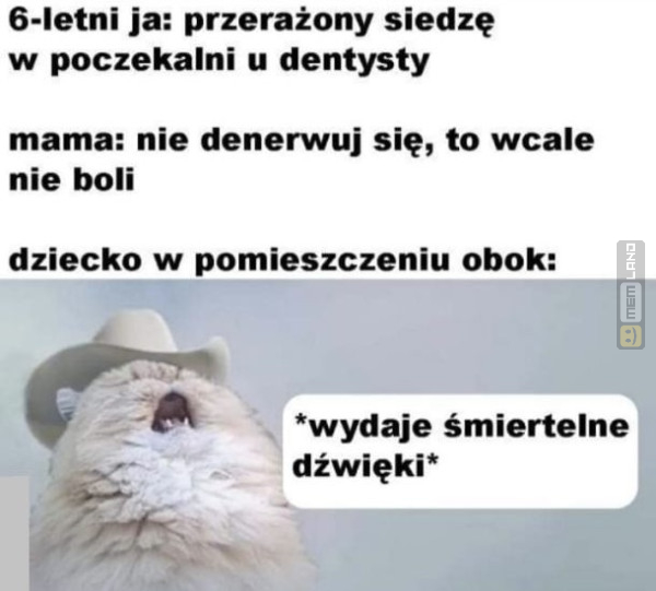 Śmieszny mem: 0900410 - MemLand