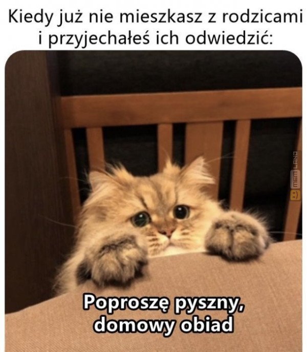 Śmieszny mem: 0901288 - MemLand