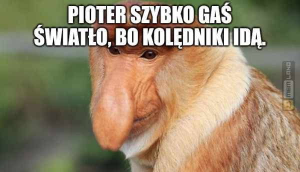 Śmieszny mem: 0904266 - MemLand