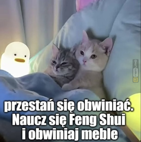 Śmieszny mem: 0907214 - MemLand