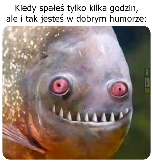 Śmieszny mem: 0914939 - MemLand