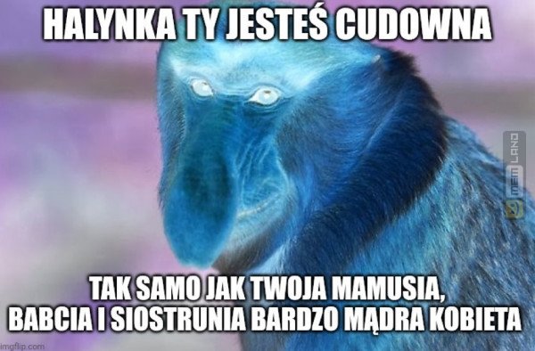 Śmieszny mem: 0917255 - MemLand