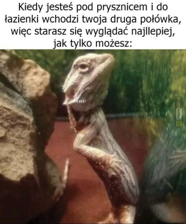 Śmieszny mem: 0936117 - MemLand