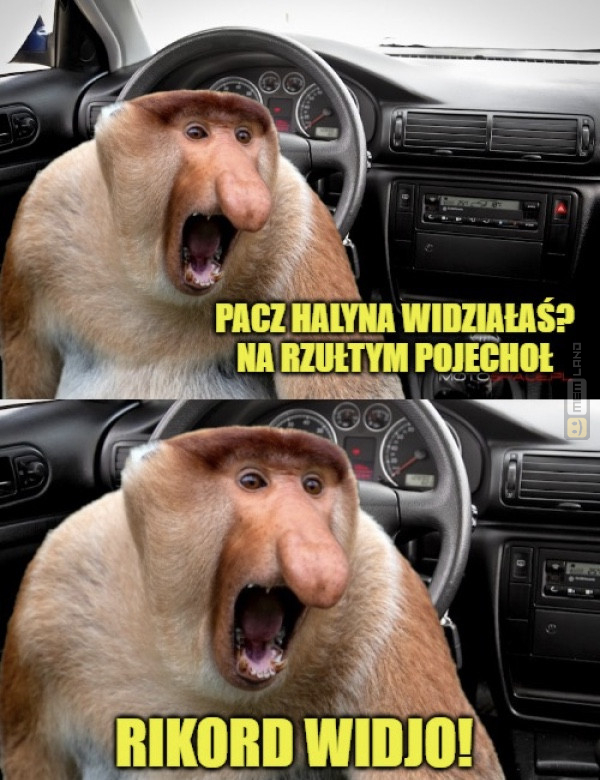 Śmieszny mem: 0937073 - MemLand