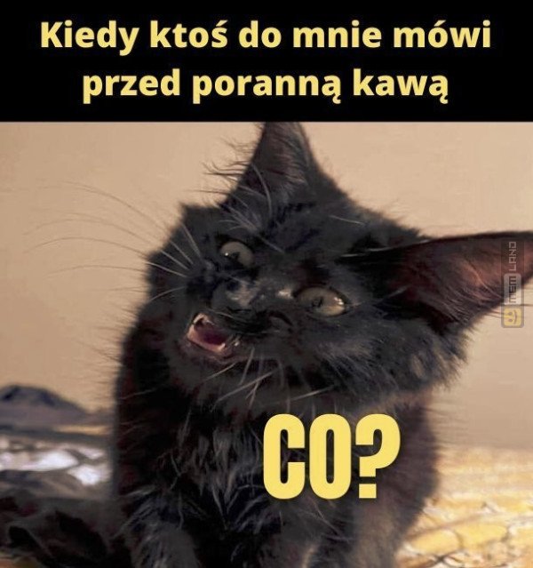 Śmieszny mem: 0941917 - MemLand