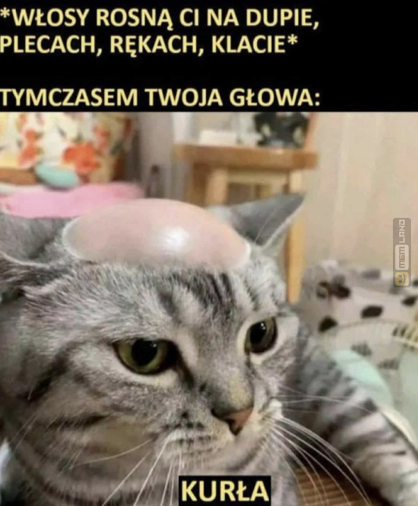 Śmieszny mem: 0945713 - MemLand