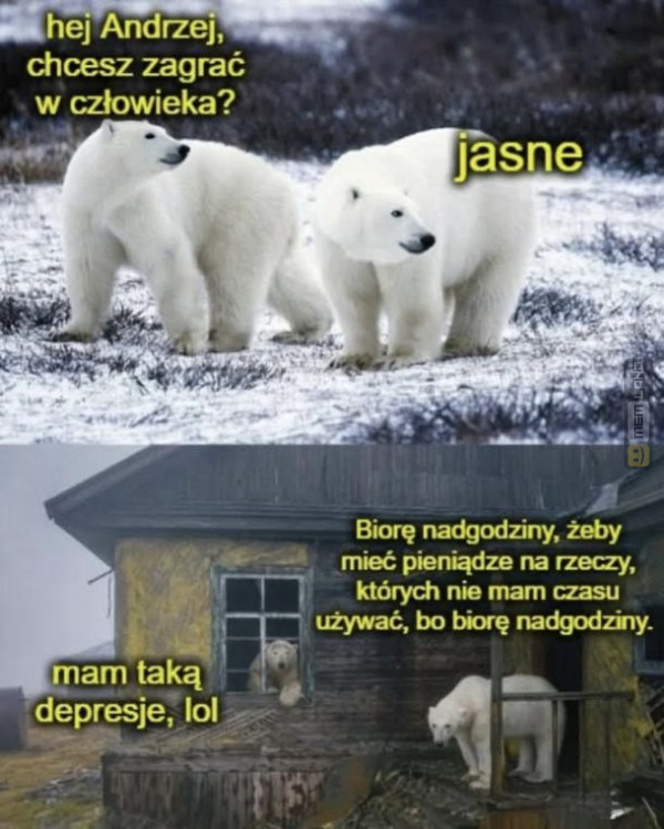 Śmieszny mem: 0966806 - MemLand