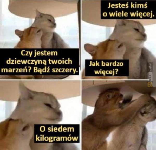 Śmieszny mem: 0969194 - MemLand