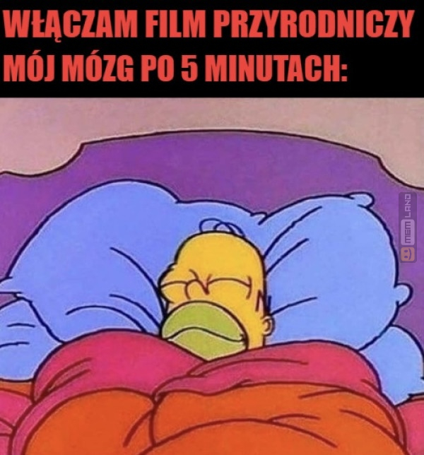 Śmieszny mem: 0976965 - MemLand