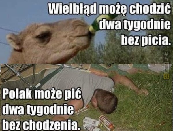 Śmieszny mem: 0977408 - MemLand
