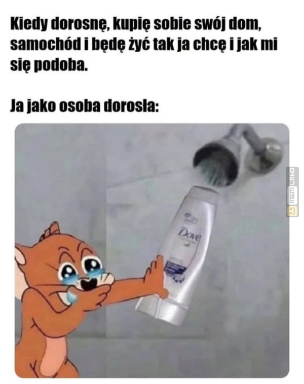 Śmieszny mem: 0987042 - MemLand