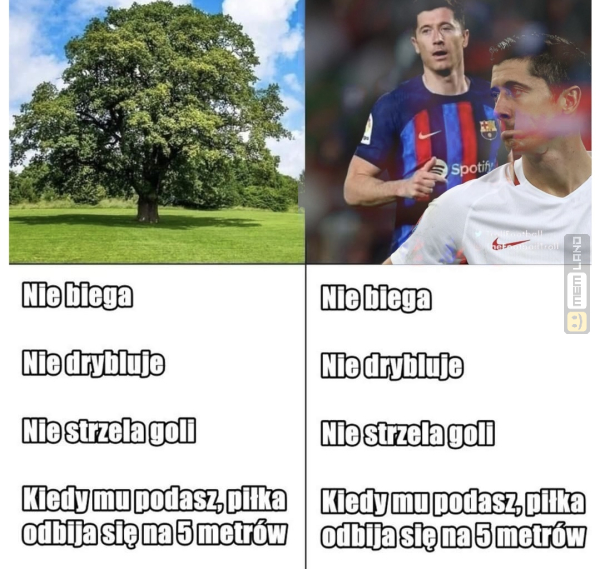 Śmieszny mem: 0995498 - MemLand