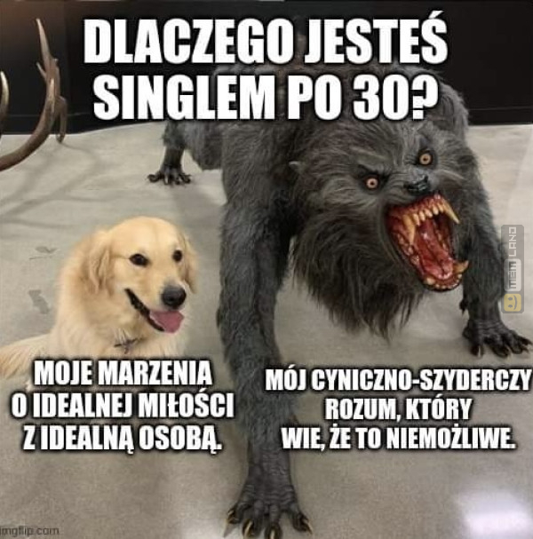 Śmieszny mem: 0996303 - MemLand