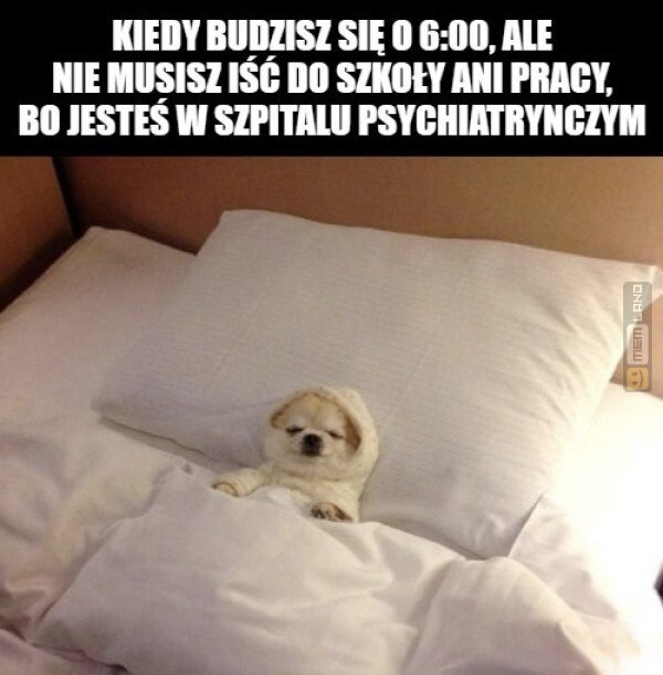 Śmieszny mem: 1000271 - MemLand