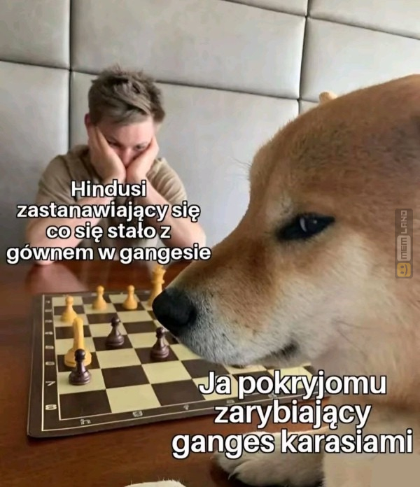 Śmieszny mem: 1008583 - MemLand