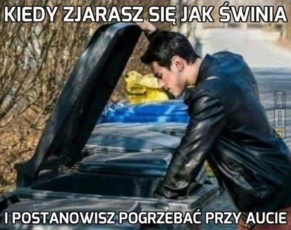 Śmieszny mem: 1012797 - MemLand