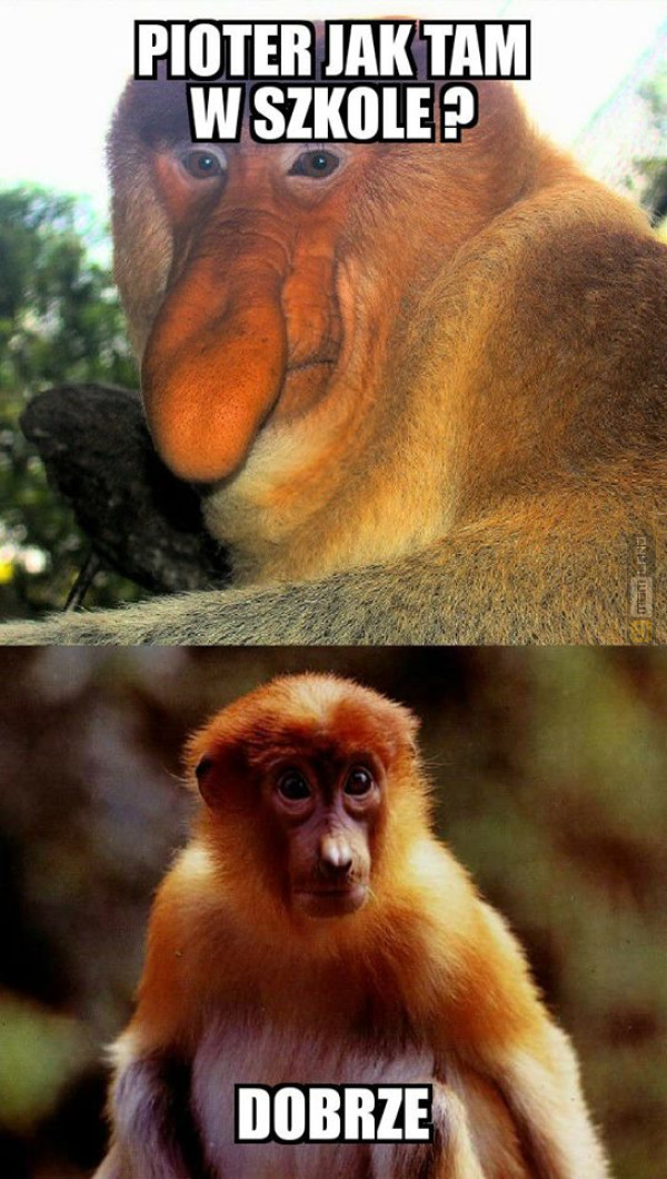 Śmieszny mem: 1020971 - MemLand