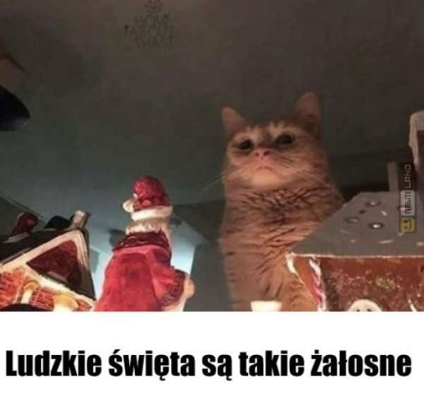 Śmieszny mem: 1026877 - MemLand