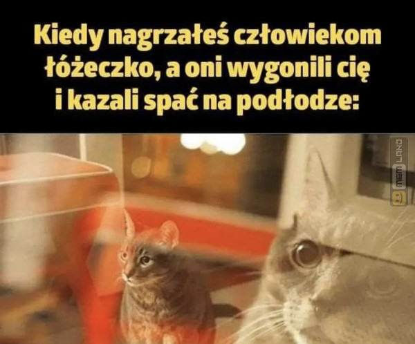 Śmieszny mem: 1027006 - MemLand