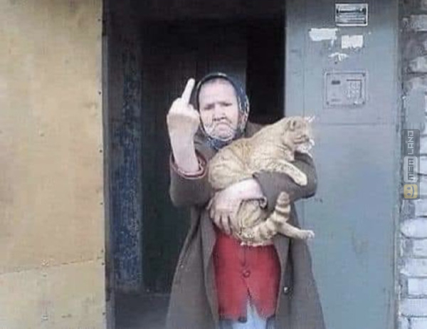 Śmieszny mem: 1049958 - MemLand