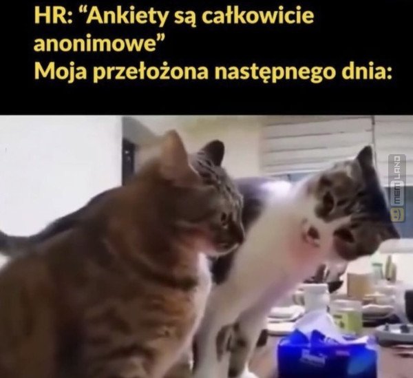 Śmieszny mem: 1055770 - MemLand