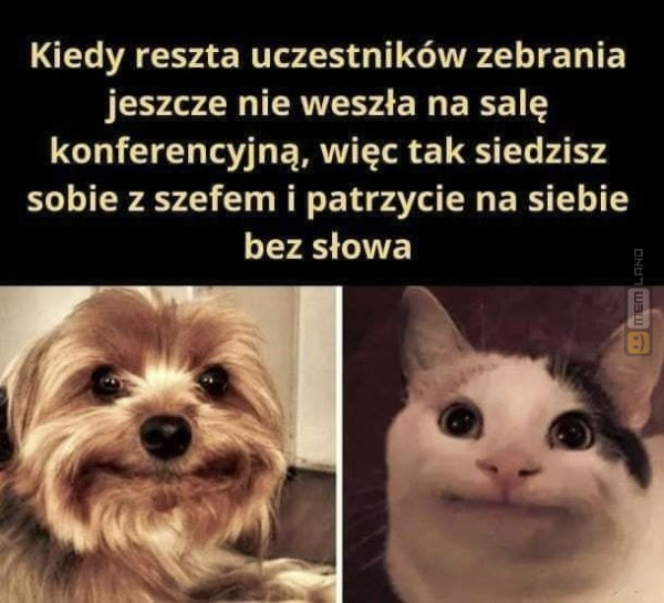 Śmieszny mem: 1056242 - MemLand