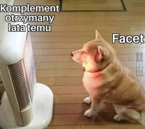 Śmieszny mem: 1068320 - MemLand