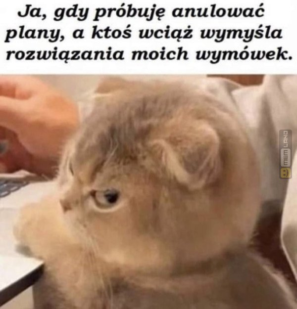 Śmieszny mem: 1069506 - MemLand