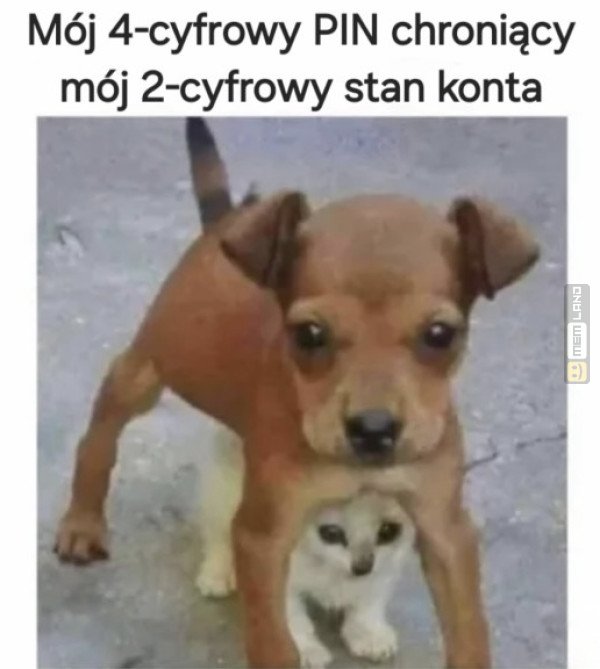 Śmieszny mem: 1070407 - MemLand