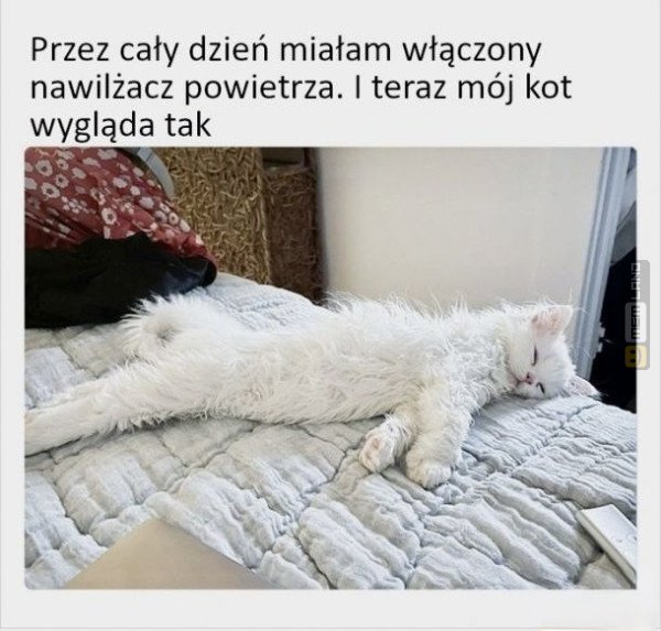 Śmieszny mem: 1078745 - MemLand