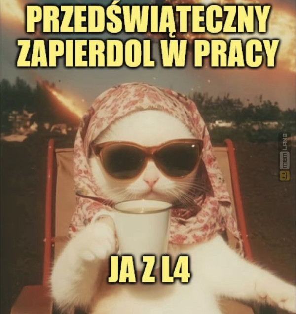 Śmieszny mem: 1085631 - MemLand