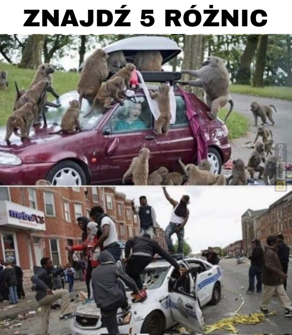 Śmieszny mem: 1092128 - MemLand