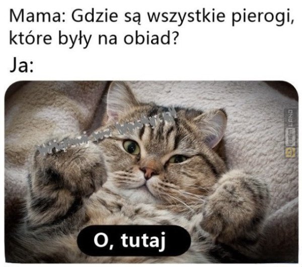 Śmieszny mem: 1094235 - MemLand