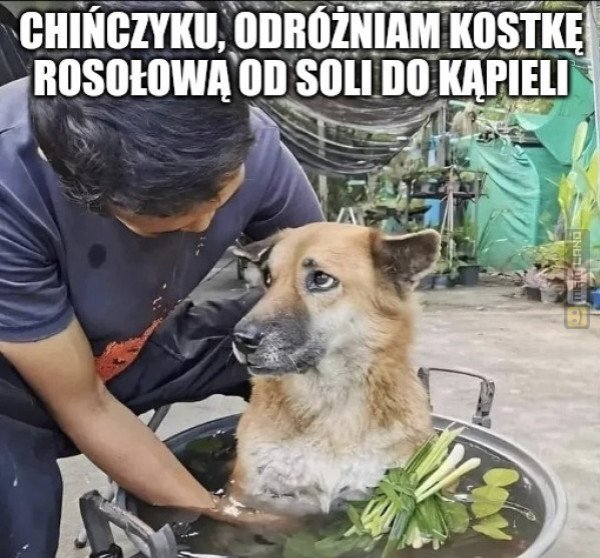 Śmieszny mem: 1094952 - MemLand