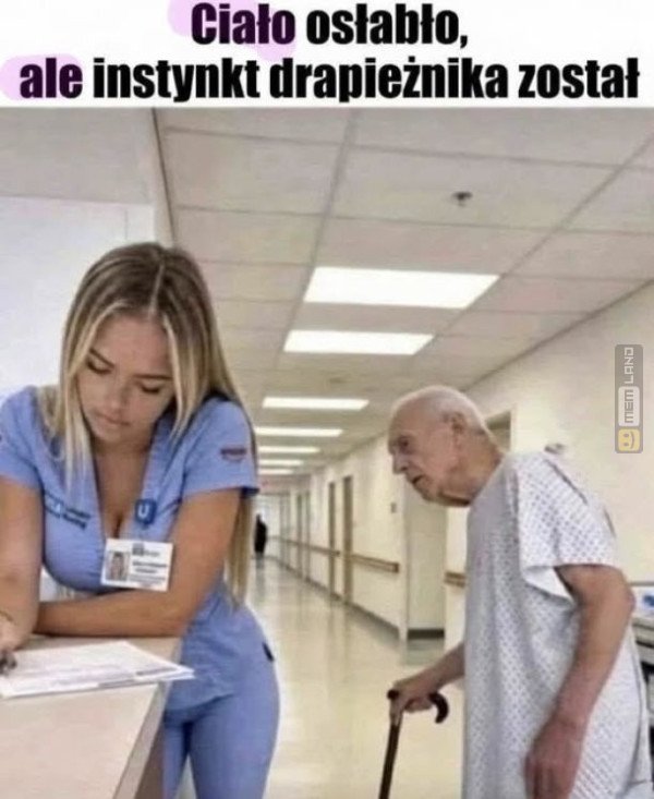 Śmieszny mem: 1095775 - MemLand