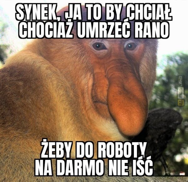 Śmieszny mem: 1110855 - MemLand