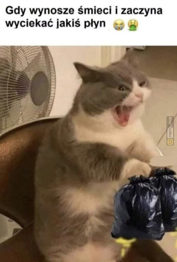 Śmieszny mem: 1118854 - MemLand