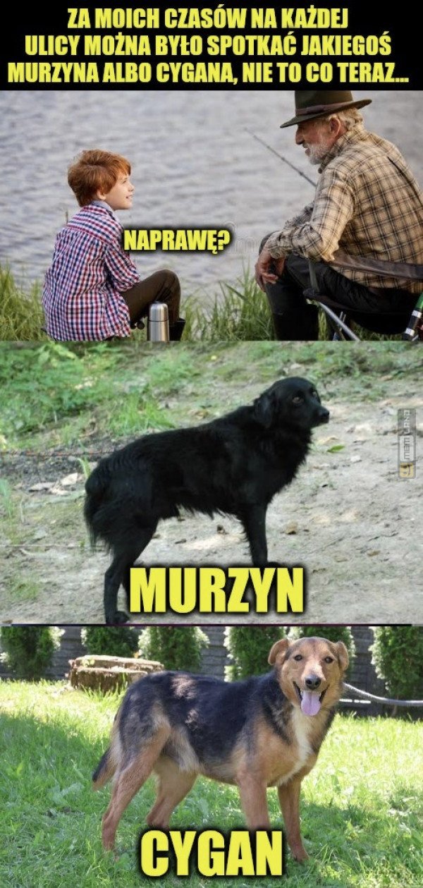 Śmieszny mem: 1119625 - MemLand