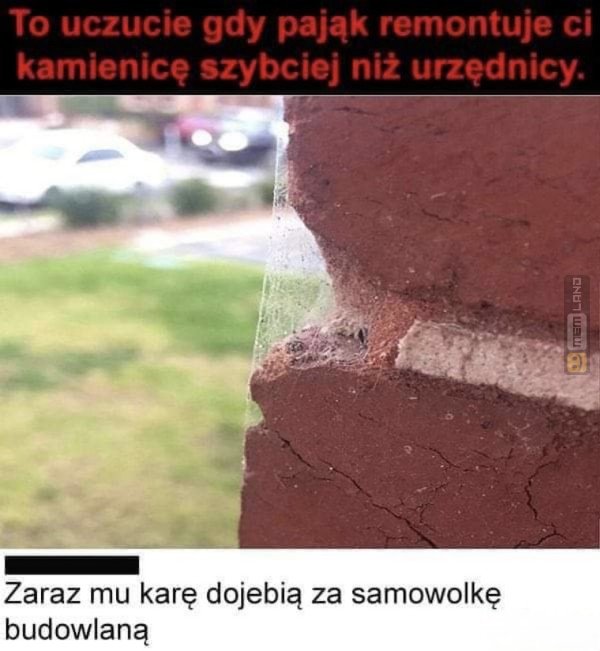 Śmieszny mem: 1124303 - MemLand