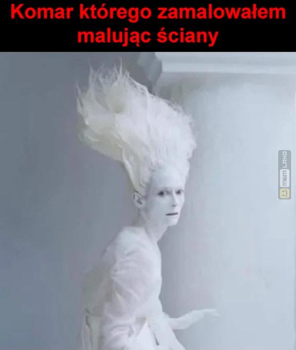 Śmieszny mem: 1135493 - MemLand