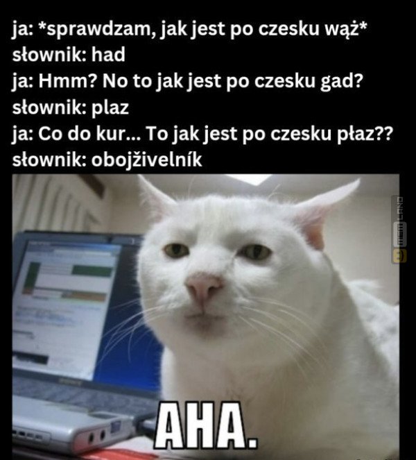 Śmieszny mem: 1137518 - MemLand