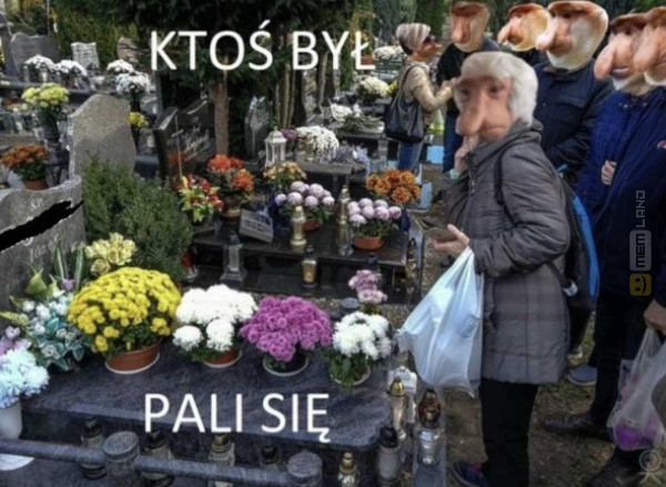 Śmieszny mem: 1140940 - MemLand