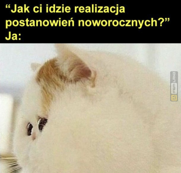 Śmieszny mem: 1141247 - MemLand