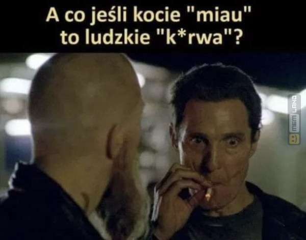 Śmieszny mem: 1148143 - MemLand