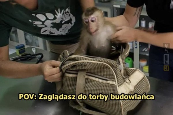 Śmieszny mem: 1154854 - MemLand