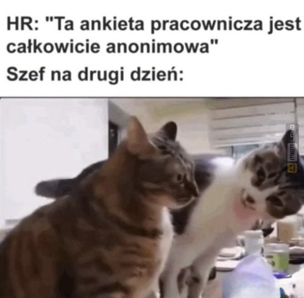 Śmieszny mem: 1157485 - MemLand