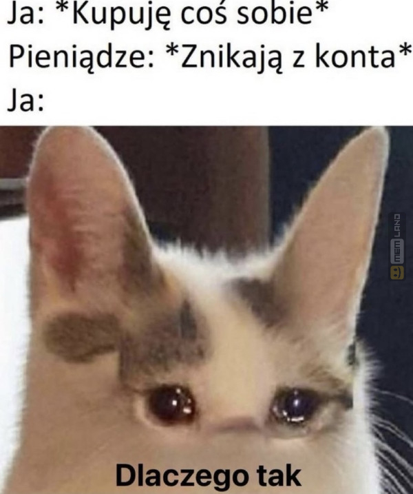 Śmieszny mem: 1158908 - MemLand