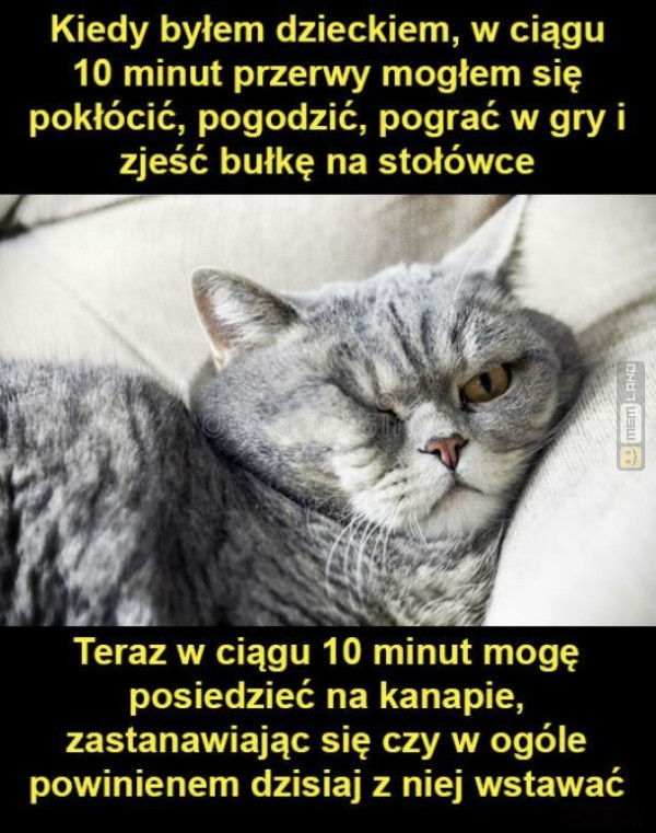 Śmieszny mem: 1162431 - MemLand